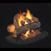 Real Fyre Golden Oak Designer Plus See Thru Gas Log -20"