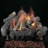 Rasmussen 18" Bonfire Ceramic Log Set - Double Face