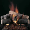 Rasmussen 20" Evening Prestige Ceramic Log Set - Double Face