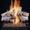 Rasmussen 30" Birch Ceramic Log Set - Double Face