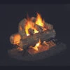 Real Fyre Golden Oak Designer Plus See Thru Gas Log - 16"