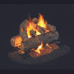 Real Fyre Golden Oak Designer Plus See Thru Gas Log - 16"