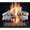 Rasmussen 24" Birch Ceramic Log Set - Single Face