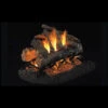 Real Fyre American Oak See Thru Gas Log Set 30"